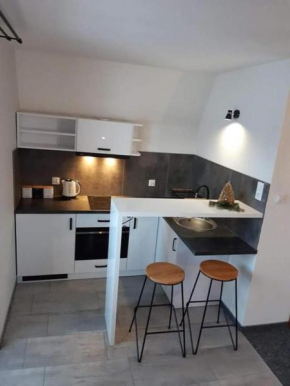 Apartament z widokiem na góry u Bronka